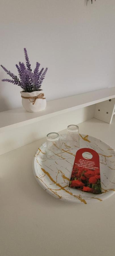 ホテル Casa Domneasca Giurgiu エクステリア 写真